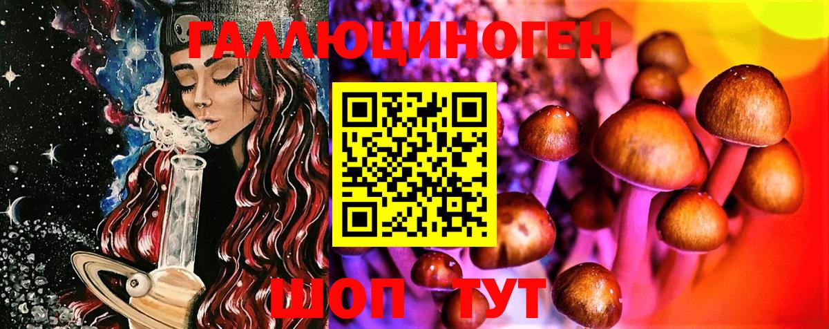 Советская Гавань  Псилоцибиновые грибы Psilocybine cubensis  Вход с VPN 
