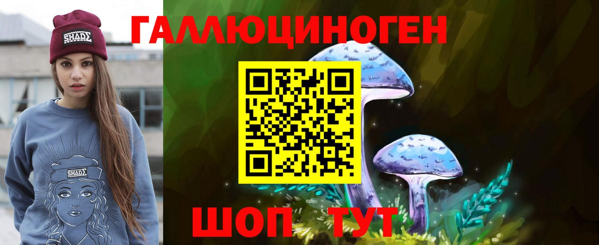 Псилоцибиновые грибы мухоморы Советская Гавань